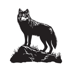 black and white wolf