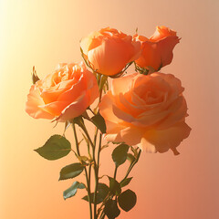 bouquet of orange roses