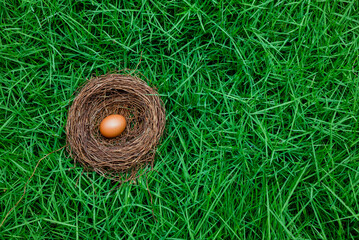 Eggs in nest on grass