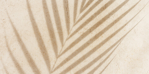 Natural palm leaf shadow on light beige sandy color background, banner with copyspace. Summer minimal concept, daylight in sunny day, top view plant shade, nature environment pattern, neutral tone