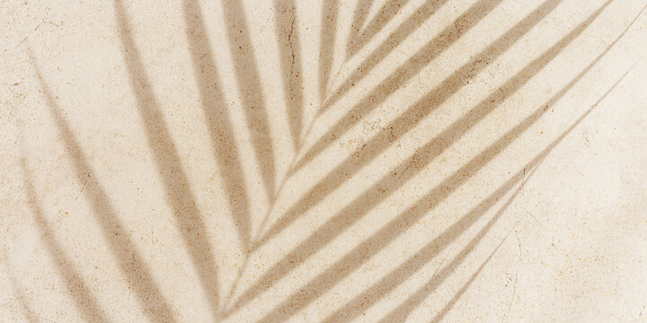 Natural palm leaf shadow on light beige sandy color background, banner with copyspace. Summer minimal concept, daylight in sunny day, top view plant shade, nature environment pattern, neutral tone
