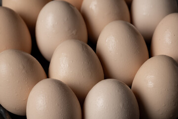 Some Eggs photographed under lighting