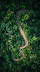 Fototapeta premium Winding Road Through Lush Green Forest Aerial View Serpentine Path Amidst Dense Foliage