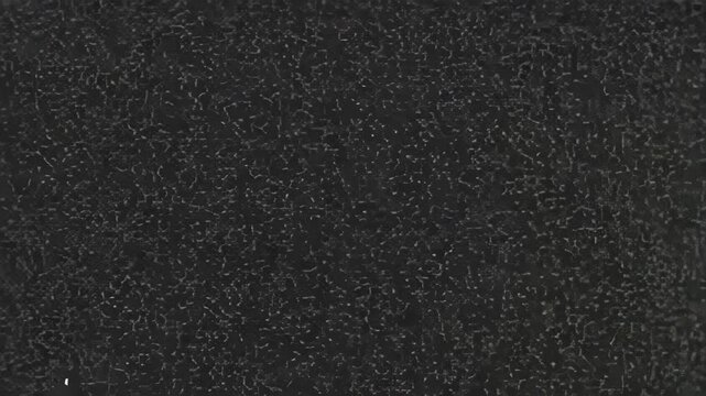  Digital TV Glitch  Signal Distortion in Black and White
