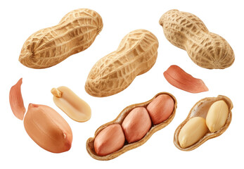 Several peanuts in and out of shells, including split whole, displayed on transparent background