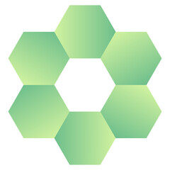Green Hexagon Infographic