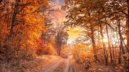 Sunlit Autumn Path with Vibrant Foliage