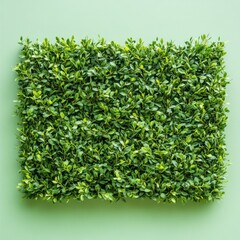 Naklejka premium Lush green foliage on a serene background.