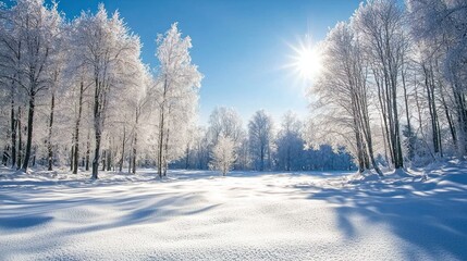 Fototapeta premium A winter landscape covered in fresh snow, with tall trees and a peaceful atmosphere