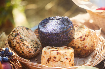 Different types of cheese with different fillers.