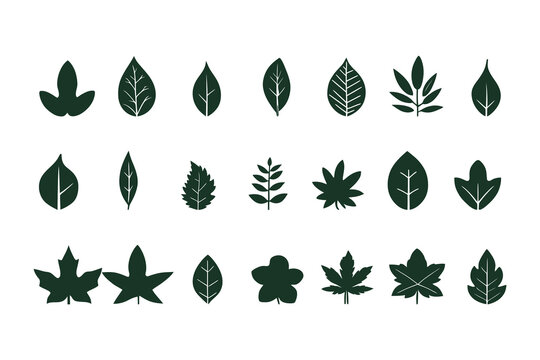 Leaf Silhouettes Vector Collection &ndash; Diverse Nature Botanical Elements