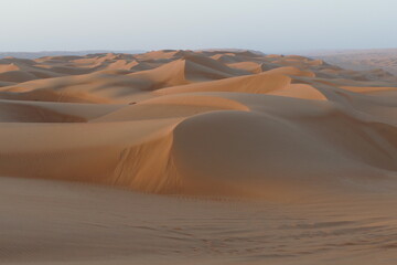 Sand Desert