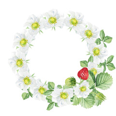 Watercolor frame of white flowers and strawberries. Beautiful frame with strawberry flowers, strawberries, leaves, hand drawn