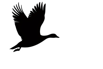 Fototapeta premium Majestic duck in flight open sky silhouette image nature side view avian journey