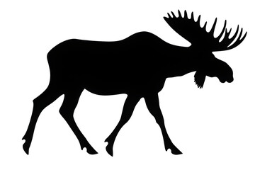 Fototapeta premium Moose walking through natural habitat wildlife conservation area silhouette outdoor side view animal behavior