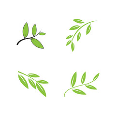 Green leaf logo vector template element symbol design