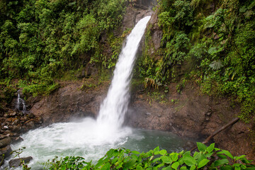 waterfall in the forest
