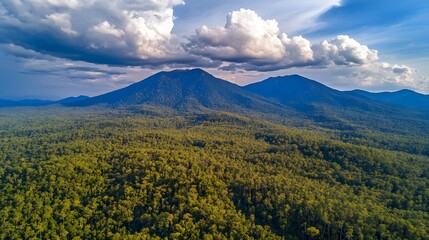 Fototapeta premium Aerial View Lush Green Forest Mountain Range Dramatic Cloudscape