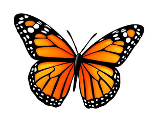 Fototapeta premium Vibrant orange butterfly with black and white patterns on wings isolated on a transparent background