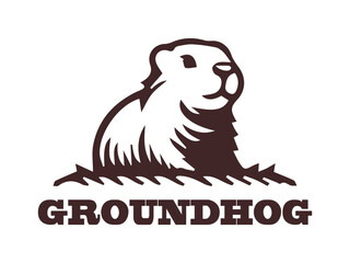 illustration vector logo groundhog on white background view. cute groundhog icon flat on white  background