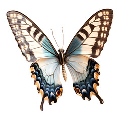 Fototapeta premium Beautiful butterfly with intricate pattern wings flying isolated on a transparent background