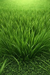 Obraz premium a close up of a green grass field with a small patch of grass