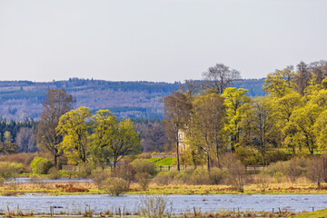Wetland with a budding deciduous forest and a country house in a grove of trees
