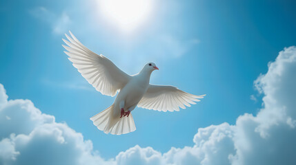 Fototapeta premium Serene White Bird Soaring Gracefully Against a Bright Blue Sky with Fluffy White Clouds in the Background