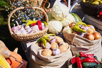 Bags and baskets are filled with various vegetables. Autumn harvest