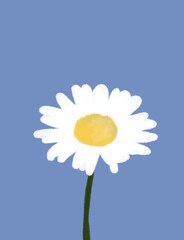 daisy against blue sky, wallpaper