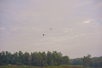 travel and people activity concept with cloud and sky  with bird and mountain and lake on foreground