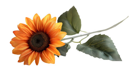 Single orange sunflower stem, leaves, black background, design element