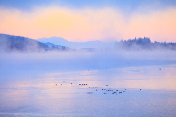 winter landscape with lake and ducks
