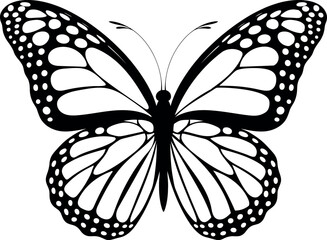butterfly silhoutte vector illustration