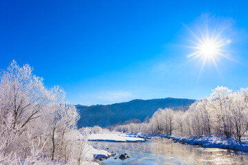 trees with hoarfrost and sunlight and river