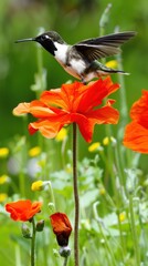 Vibrant hummingbird hovering over bright orange flowers in a lush spring garden. Gardening for Wildlife Month