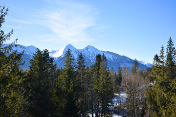 Majestic snow-covered high Tatras rise above the dense evergreen pine forest, breathtaking alpine scene under the clear blue sky. Wilderness and tranquility. Skiers, hikers, adventure lovers. 