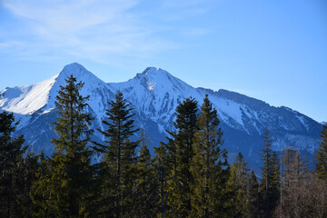 Obraz premium Majestic snow-covered high Tatras rise above the dense evergreen pine forest, breathtaking alpine scene under the clear blue sky. Wilderness and tranquility. Skiers, hikers, adventure lovers. 