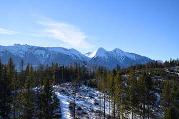 Majestic snow-covered high Tatras rise above the dense evergreen pine forest, breathtaking alpine scene under the clear blue sky. Wilderness and tranquility. Skiers, hikers, adventure lovers. 