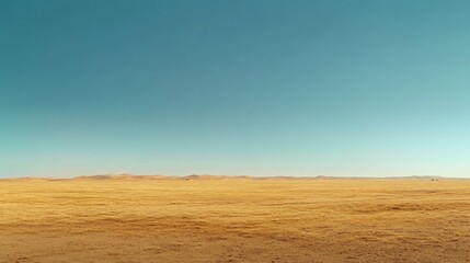 Obraz premium A dramatic wide-angle shot of a golden desert landscape, with sand dunes stretching as far as the eye can see under a clear blue sky. The warm hues of the sand contrast with cool tones of the sky