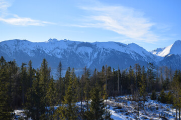 Majestic snow-covered high Tatras rise above the dense evergreen pine forest, breathtaking alpine scene under the clear blue sky. Wilderness and tranquility. Skiers, hikers, adventure lovers. 