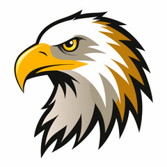 Fototapeta premium bald eagle vector illustration