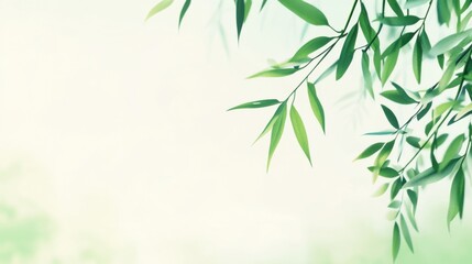 Fototapeta premium Delicate willow branches in fresh green, soft morning light, serene and minimalist Qingming Festival scene.