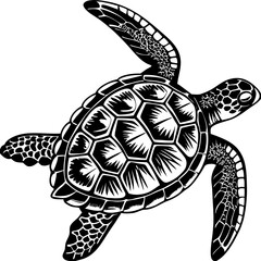 Fototapeta premium turtle vector illustration