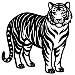 tiger illustration