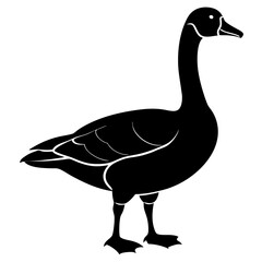 goose isolated on white background