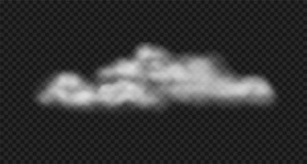 Vector realistic steam cloud, fog, water haze.