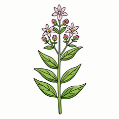 vector illustration of a flower