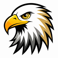 American bald eagle