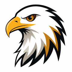 American bald eagle